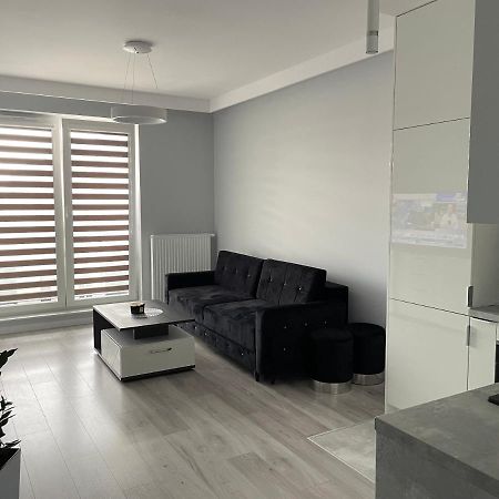 Apartament Leczycka エルブロンク エクステリア 写真
