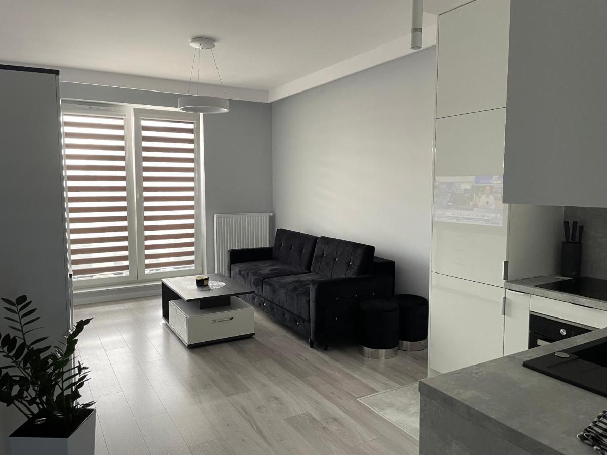 Apartament Leczycka エルブロンク エクステリア 写真